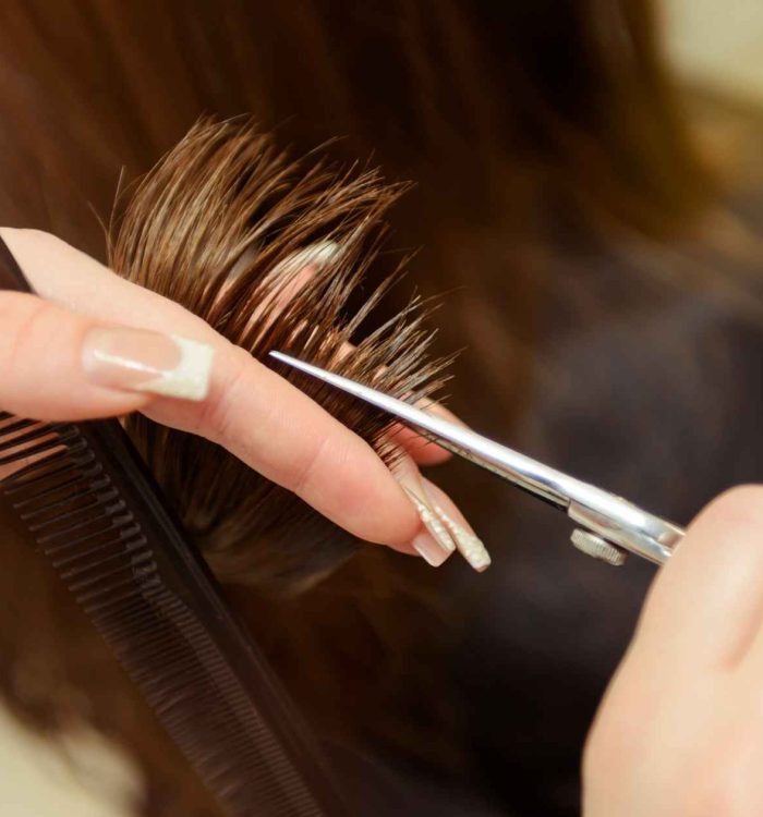 Haircuts Beauty Service